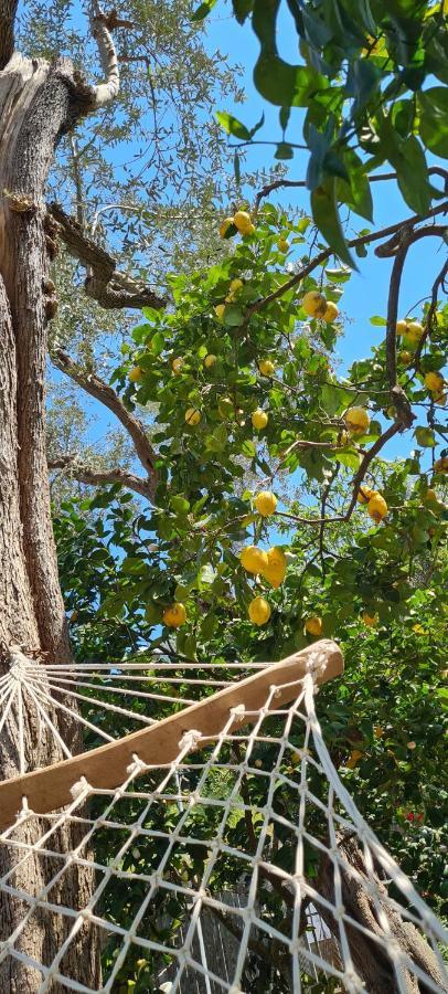 Rita Home B&B Sorrento Bagian luar foto